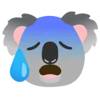 zaniepokojona twarz oblana potem + koala