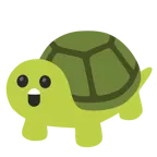 zadziwiona twarz + żółw