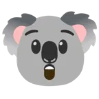 zadziwiona twarz + koala