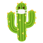cara con mascarilla médica + cactus