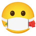 cara con mascarilla médica + rosa