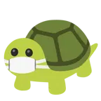 cara con mascarilla médica + tortuga