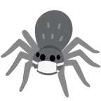 cara con mascarilla médica + araña