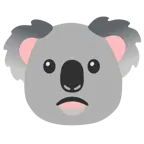 biraz asık surat + koala