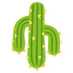 cara al revés + cactus
