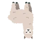 cara al revés + llama