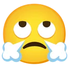 face with rolling eyes + face with steam from nose