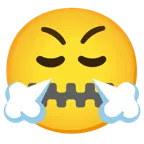 zipper-mouth face + face with steam from nose