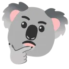 düşünen yüz + koala
