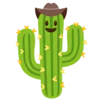 Gesicht mit Cowboyhut + Kaktus