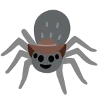 Gesicht mit Cowboyhut + Spinne