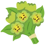 würgendes Gesicht + Blumenstrauß