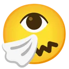 niesendes Gesicht + Auge