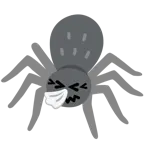 niesendes Gesicht + Spinne