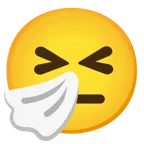 niesendes Gesicht + neutrales Gesicht