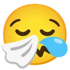 niesendes Gesicht + schläfriges Gesicht