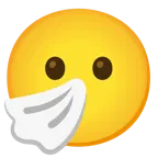 niesendes Gesicht + Gesicht ohne Mund