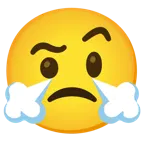 face with raised eyebrow + face with steam from nose