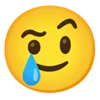 face with raised eyebrow + smiling face with tear
