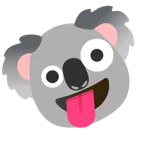 çılgın surat + koala
