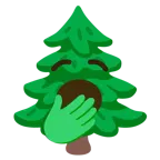 cara de bostezo + árbol de hoja perenne