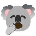 cara de bostezo + koala