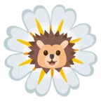 Igel + gelbe Blüte