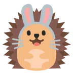 Igel + Hasengesicht