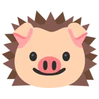 Igel + Schweinegesicht