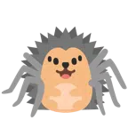 Igel + Spinne
