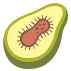 microbio + aguacate