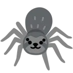 Faultier + Spinne