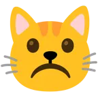 asık surat + kedi yüzü