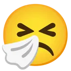 asık surat + hapşıran yüz