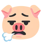 face exhaling + pig face
