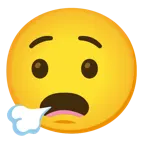 face exhaling + frowning face with open mouth