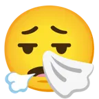 face exhaling + sneezing face