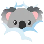 face in clouds + koala