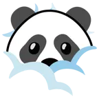 face in clouds + panda