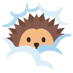 face in clouds + hedgehog