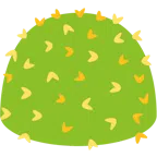 bacchetta magica + cactus