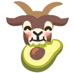 Ziege + Avocado