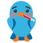 ptak + twarz z termometrem