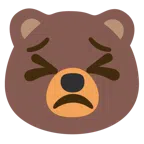 Bär + entschlossenes Gesicht