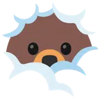Bär + Gesicht in Wolken