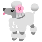 Pudel + Kirschblüte