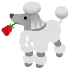 Pudel + Rose