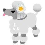 Pudel + gelbe Blüte