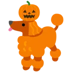 Pudel + Halloweenkürbis