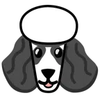 Pudel + Panda
